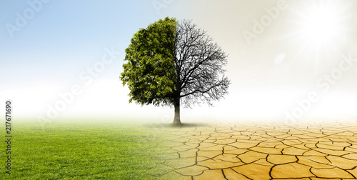 Klimawandel