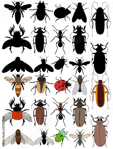 set insects, ladybug, beetle, ant, bee, vector, isolated © zolotons