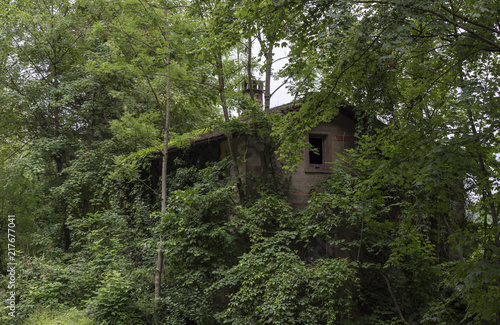 Abandoned house covered by trees © YesPhotographers