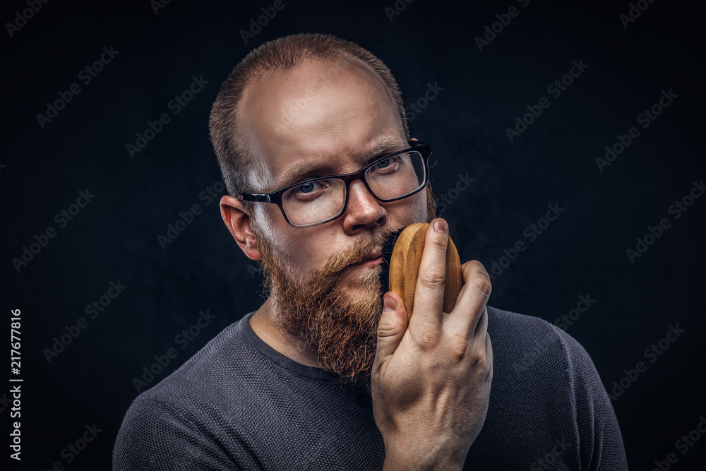 Close up portrait of a redhead bearded male wearing glasses dressed in a gray t-shirt, cares about his beard using a beard brush. Isolated on dark textured background. Close up portrait of a redhead bearded male wearing glasses dressed in a gray t-shirt, cares about his beard using a beard brush. Isolated on dark textured background.