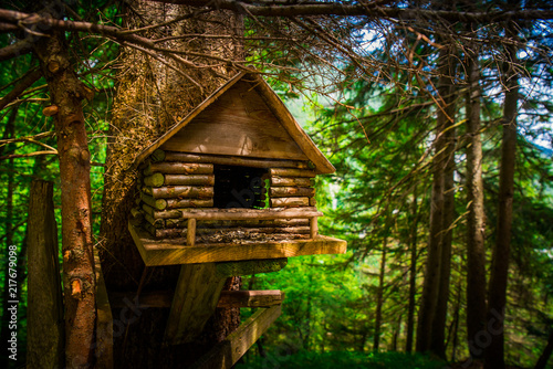 Small wooden feeder for birds, in green forest © kovop58
