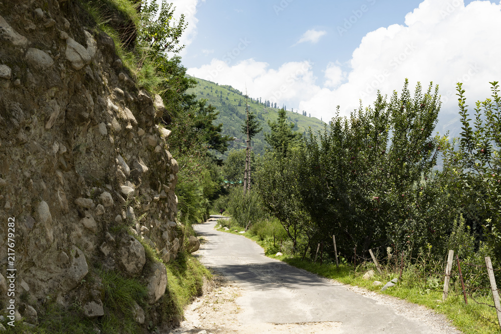 Fototapeta premium road to manali