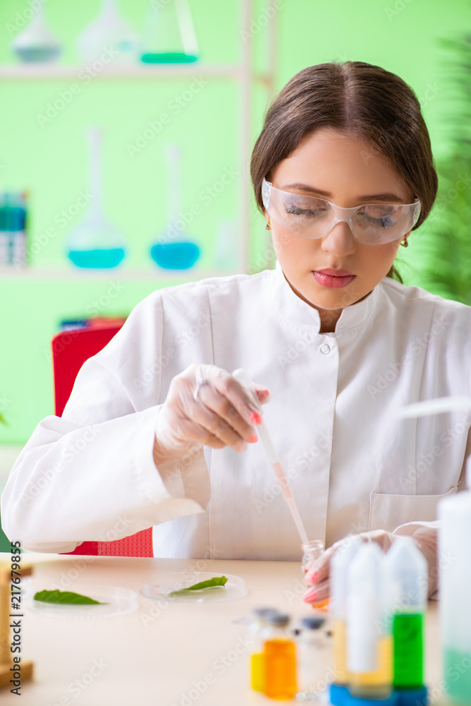 Beautiful female biotechnology scientist chemist working in lab Beautiful female biotechnology scientist chemist working in lab