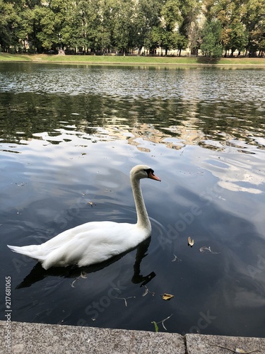 Patriarshiye Ponds (Patriarch's Ponds), summer 2018 photo