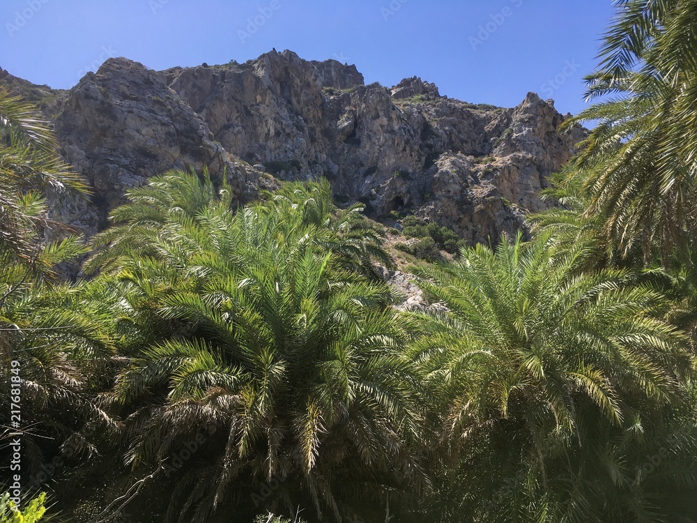 Prevelli Palm Beach Palmenstrand Prevelli Palm Beach Palmenstrand