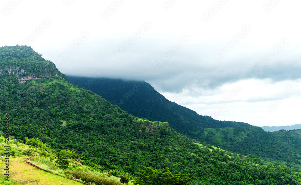 Peak mountain cover by cloud in mist in a scenic landscape view