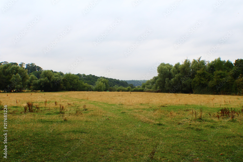 Nature Landscape Background