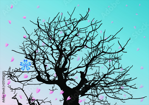 花びらと冬の柿の木petals_and_persimmon_in_winter