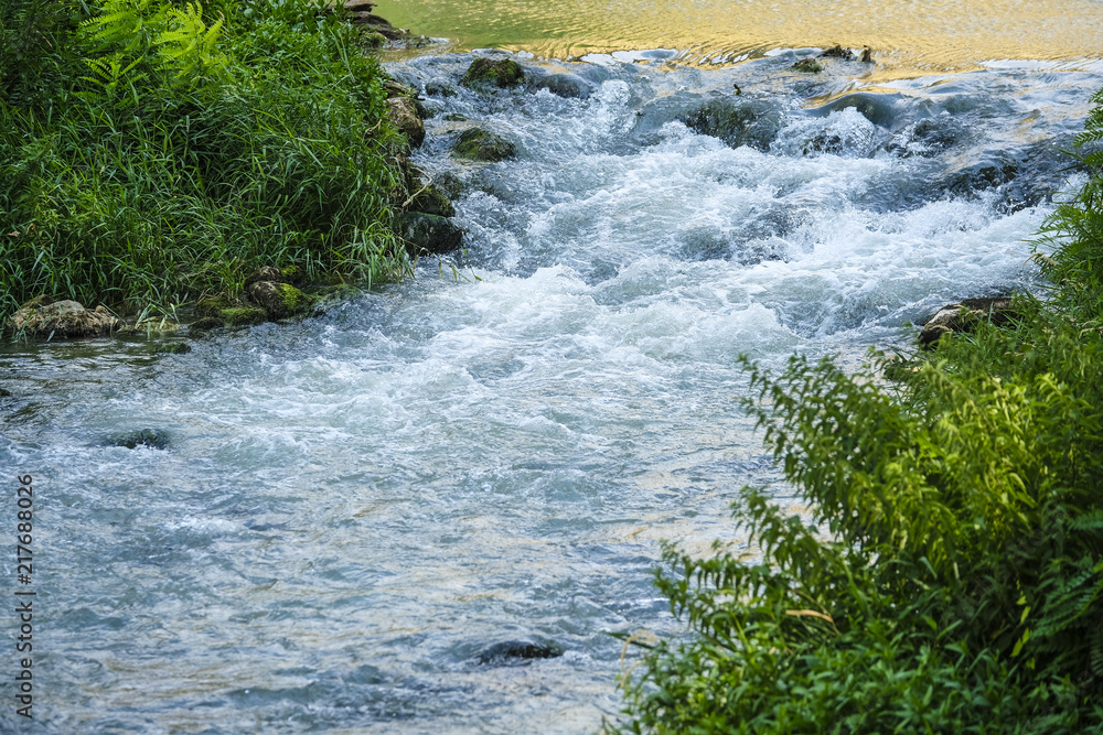 the image of a small river the image of a small river