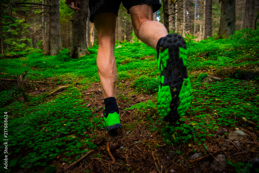 Naklejka premium Trail shoes of trail runner in green forest, sport photo