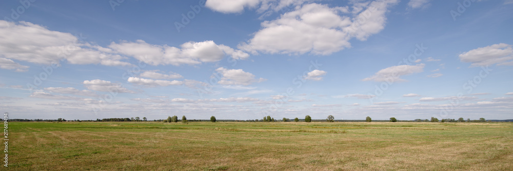 Wiesen im Naturpark Westhavelland zwischen Gülpe und Parey im Havelland Wiesen im Naturpark Westhavelland zwischen Gülpe und Parey im Havelland