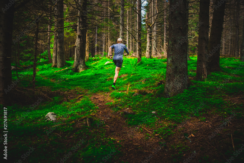 Male trail runner running in the forest on a trail, green nature Male trail runner running in the forest on a trail, green nature