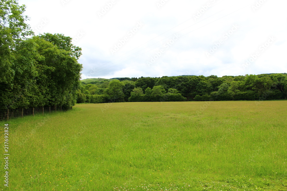 Nature Landscape Background Nature Landscape Background