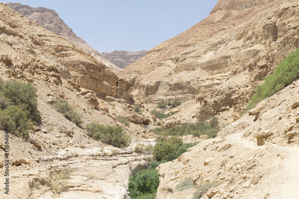 Fototapeta premium judean desert trail