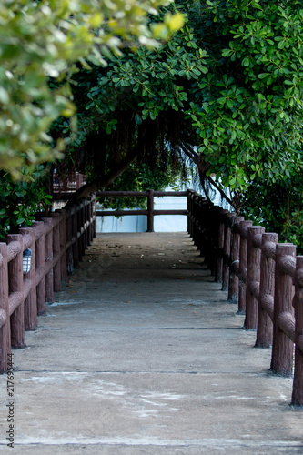 Walking bridge