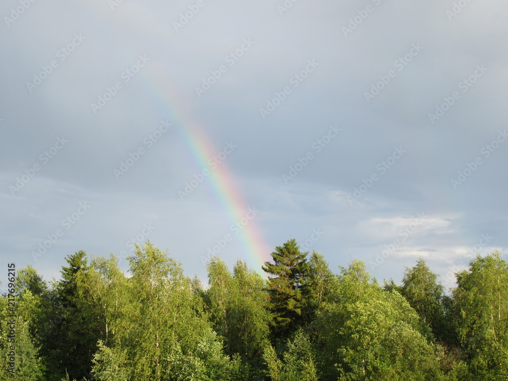 Rainbow over the forest Rainbow over the forest