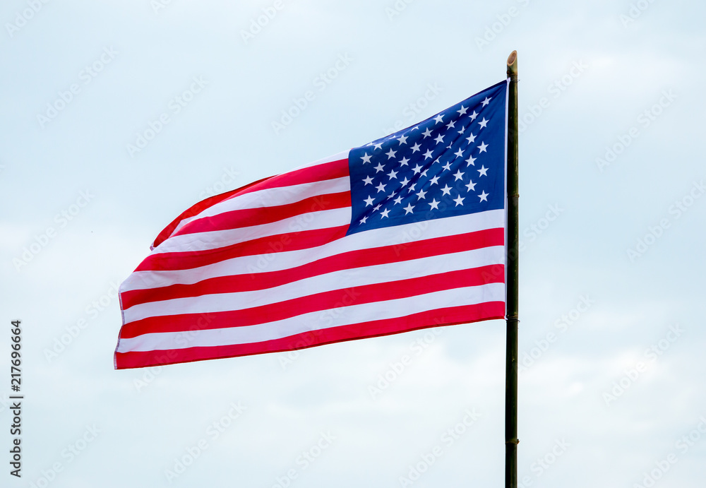 Flag of the Americas