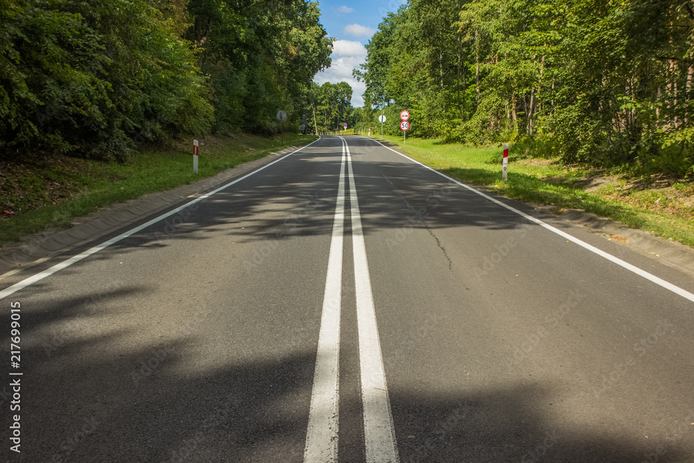 transportation concept of empty concrete car road with marking between trees in green calm nature country side district environment