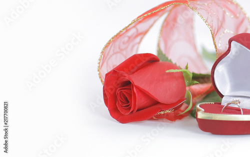 wedding rings and red rose on white background.photo with copy s
