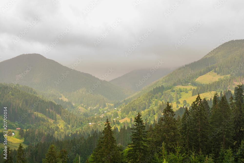 Carpathian mountain, fog