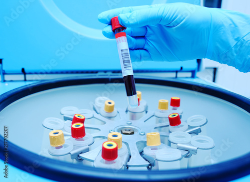 Medical laboratory centrifuge with test tubes with blood photo