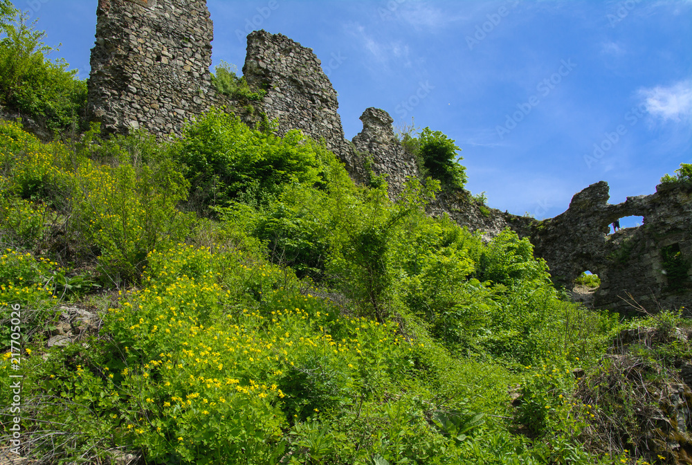 Ancient ruins of the castle of the town of Khust (Dracula Castle). a huge and powerful castle that performed a defensive function and played an important role in many battles. Western Ukraine, Europe