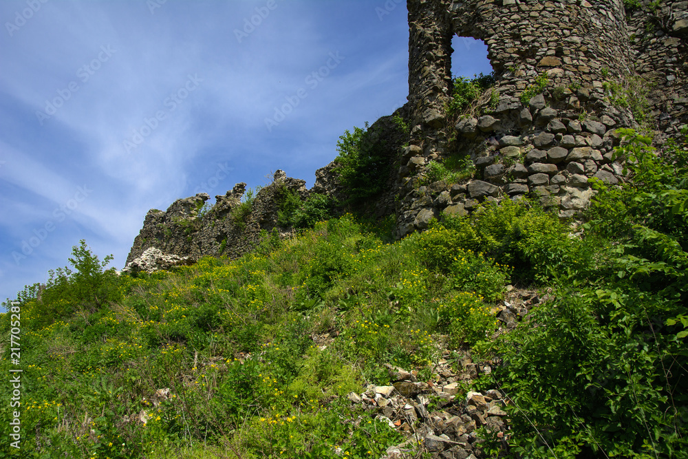 Ancient ruins of the castle of the town of Khust (Dracula Castle). a huge and powerful castle that performed a defensive function and played an important role in many battles. Western Ukraine, Europe Ancient ruins of the castle of the town of Khust (Dracula Castle). a huge and powerful castle that performed a defensive function and played an important role in many battles. Western Ukraine, Europe