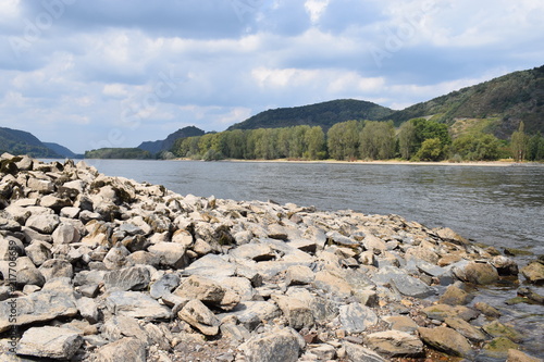 Wassermangel am Rhein 2018 photo