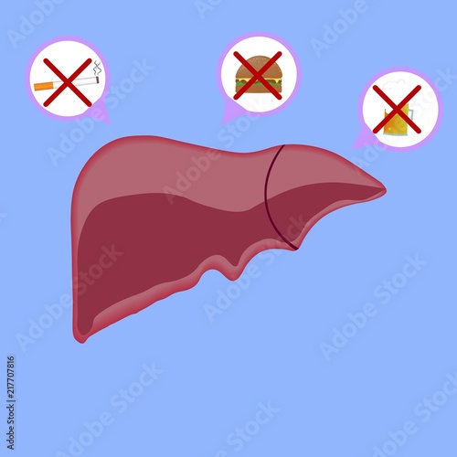 Healthy liver teaching life habits.