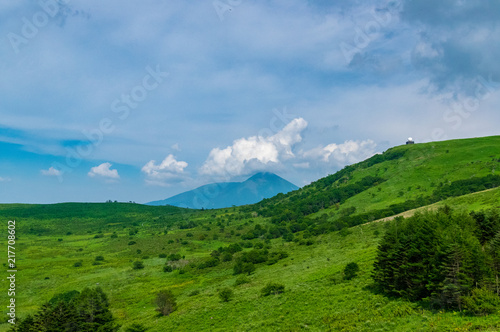 夏の霧ヶ峰高原