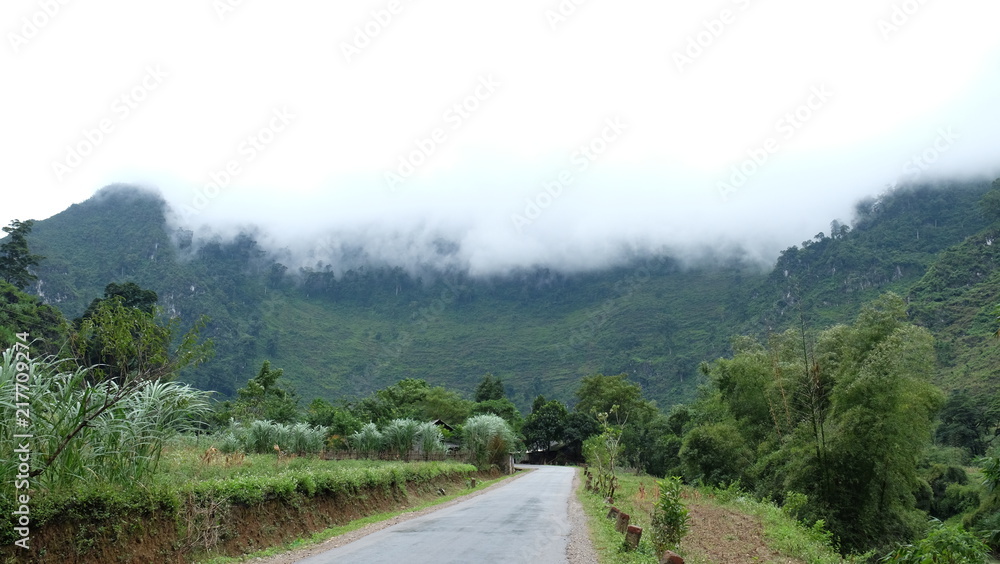 Obraz premium Small cottage with lone big tree on the countryside road in mountainous area of Ha-Giang province, Vietnam