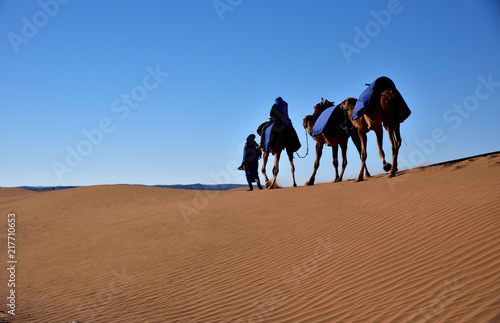 Through the dry dersert