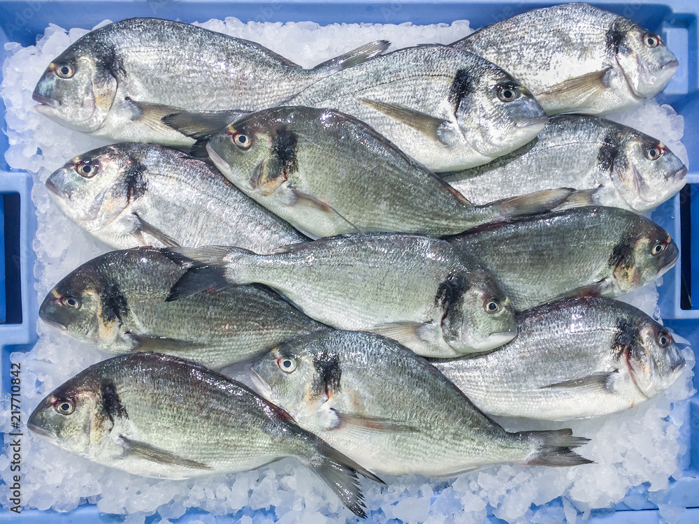 Fresh raw gilt-head bream (Sparus aurata) dorada fish at local market in Ibiza, Spain Fresh raw gilt-head bream (Sparus aurata) dorada fish at local market in Ibiza, Spain