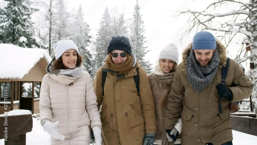 Company of young friends chatting and smiling while walking in park at snowy winter day Company of young friends chatting and smiling while walking in park at snowy winter day