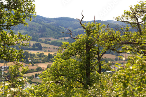 countryscape hesse germany photo