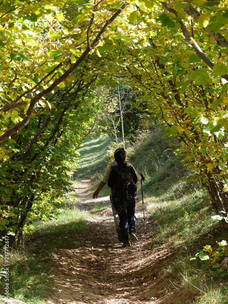 Obraz premium randonnée solidaire avec marcheurs et aide les autres gens handicapées