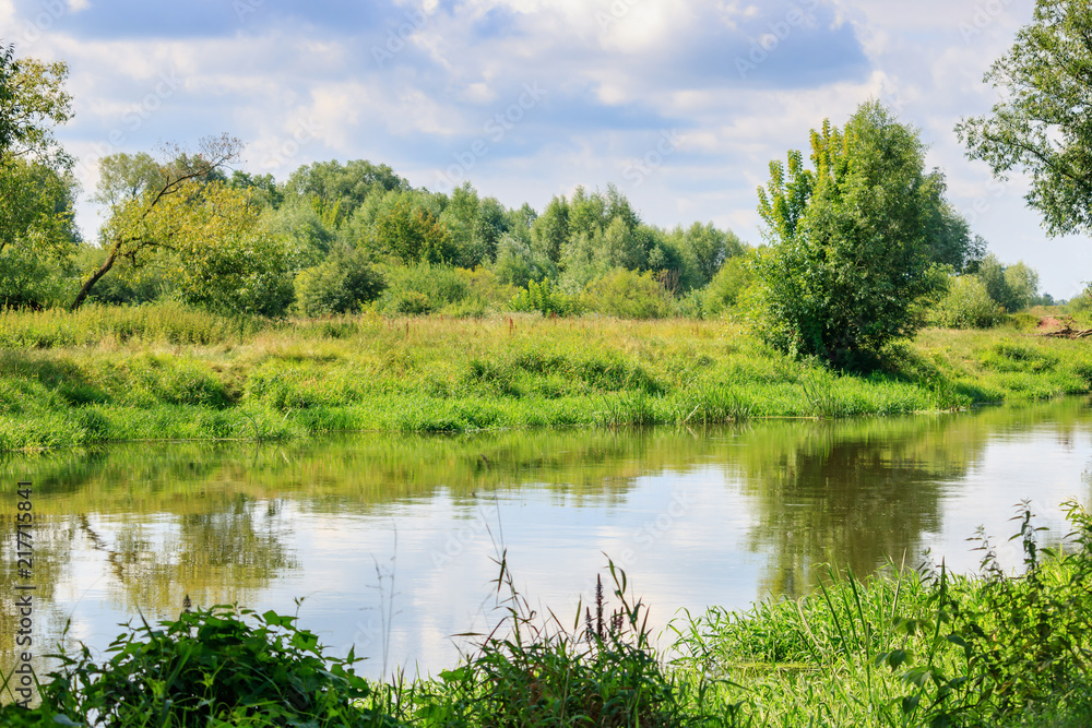 Fototapeta premium Small river on the background of grass-covered banks against cloudy sky at sunny summer day. River landscape