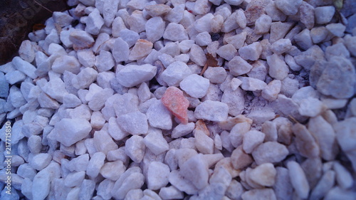 Piedras blancas