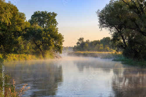 River landscape on a sunny summer morning on a background of green trees on the shore