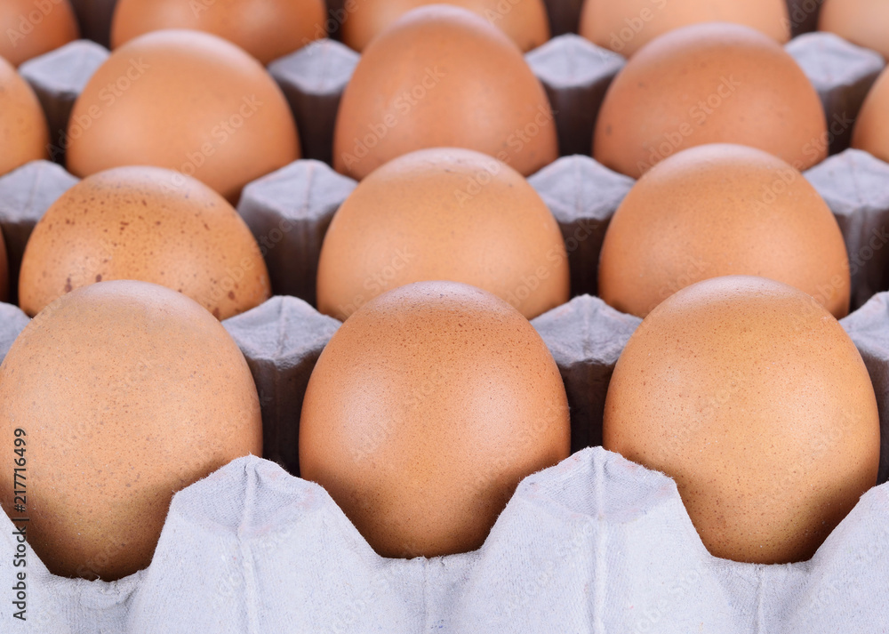 Egg, Chicken Egg Egg, Chicken Egg