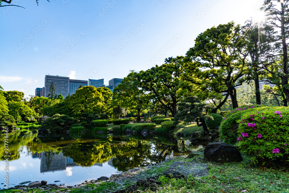 a park in tokyo