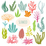 Seaweeds. Aquarium plants, underwater planting. Vector seaweed silhouette isolated set