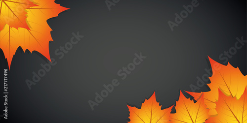 autumn leaves on a black background