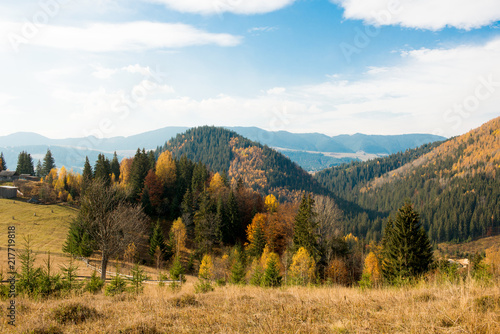 Fototapeta Naklejka Na Ścianę i Meble -  beautiful autumn landscape in the mountains