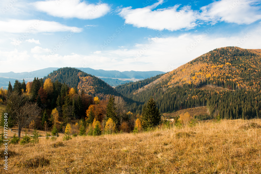 beautiful autumn landscape in the mountains