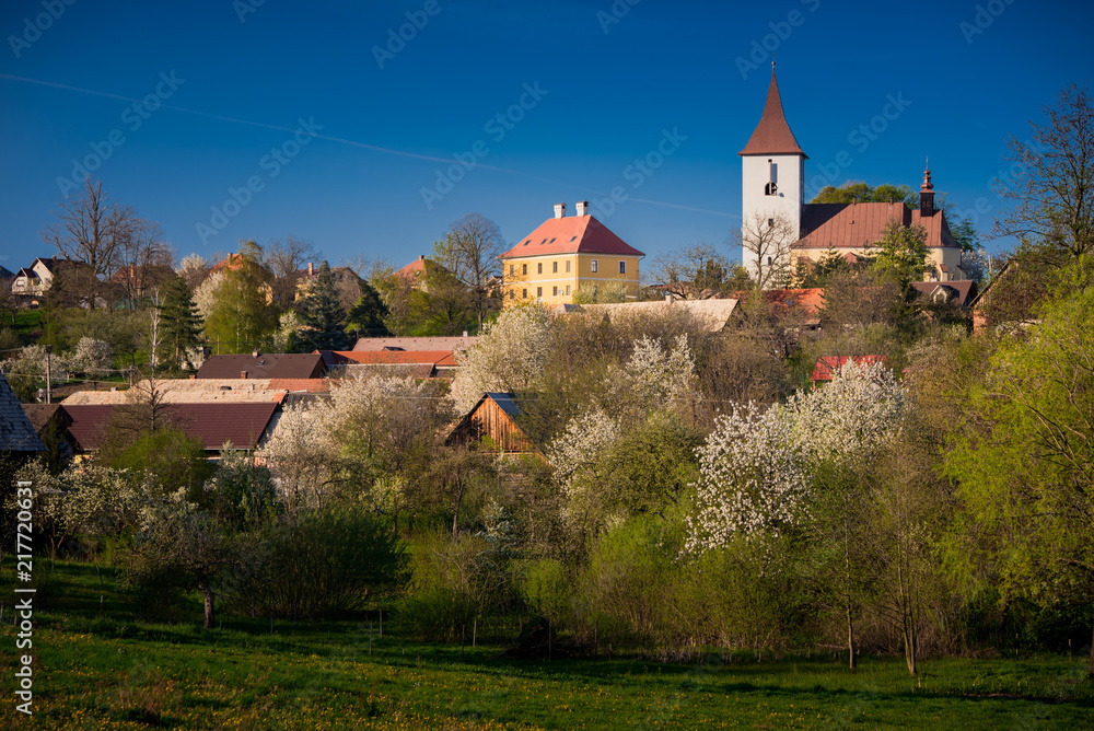 Spring rural garden, blossom cherry trees, blue sky, church