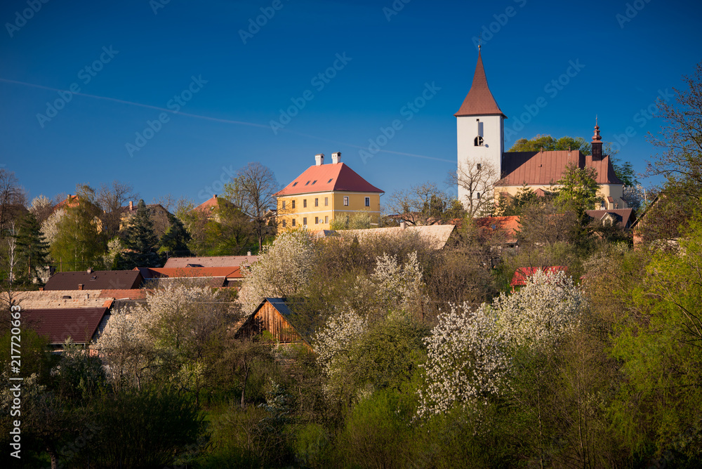 Naklejka premium Spring rural landscape, blossom cherry trees in garden, blue sky, church in background