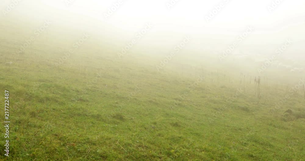 Foggy day in high mountains, grass covered slope, steadicam, no people Foggy day in high mountains, grass covered slope, steadicam, no people