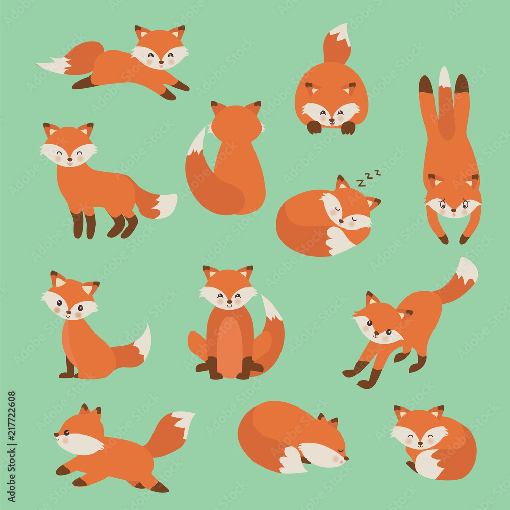 Hand drawing cute fox with a lot of variation