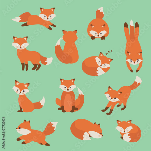 Hand drawing cute fox with a lot of variation